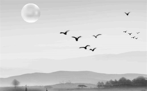 2031年02月20日搬家黄历查询