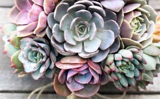 农历二〇二八年七月初三黄历启程不适合吗,这天出行合适吗