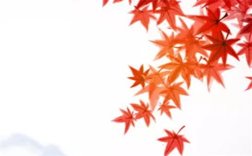 今日万年历2044年04月14日出门的好日子,出行吉日