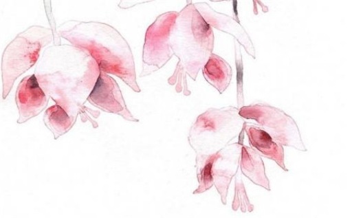 今日万年历2029年01月29日出门吉日,出行好日子查询