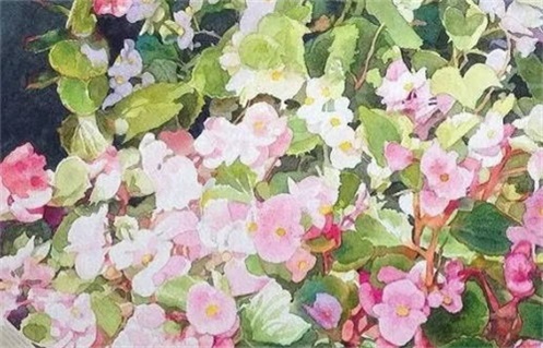 2034年11月05日老黄历适合外出吗