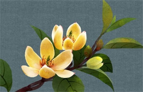 今天2029年02月24日出行老黄历不适合吗,农历二〇二九年正月十二出行日子