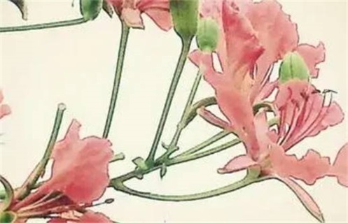 农历二〇三一年冬月初六黄历不适宜出门吗,出行好日子有哪些