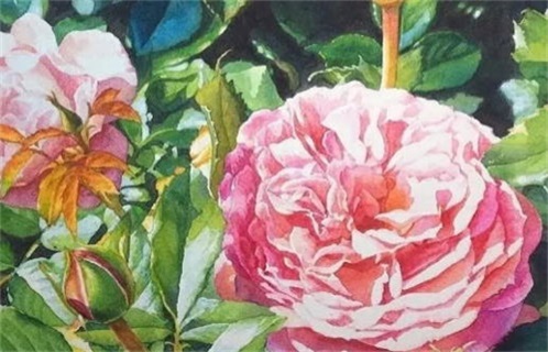 2030年01月17日出行黄历查询