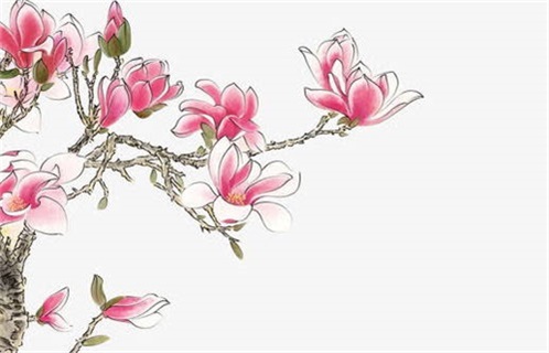 2028年8月30日出行指南：宜出行和沐浴的最佳时机