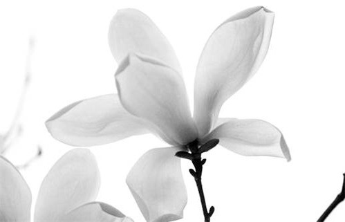 农历二〇三四年四月十八黄历适合旅游吗,出行好日子查询