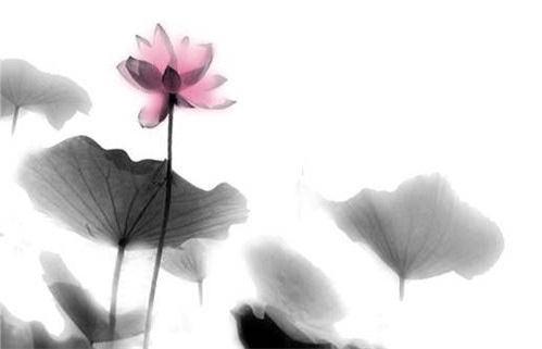 2029年09月08日出行黄历查询