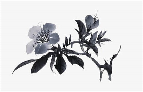 农历二〇三四年九月初三黄历旅行适合吗,这天出行合适吗