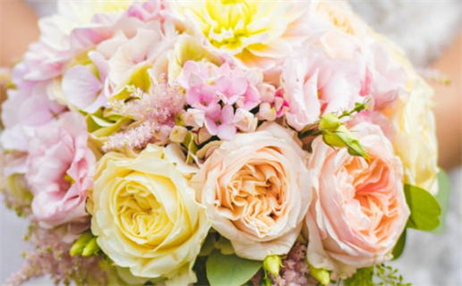 如何查询自己的命运及其含义解析