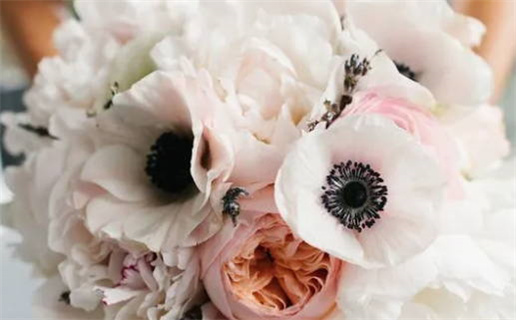 生肖鼠辟邪物件有哪些(生肖鼠辟邪物件有哪些图片)