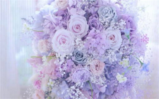 射手座人无良知的真相揭示分析