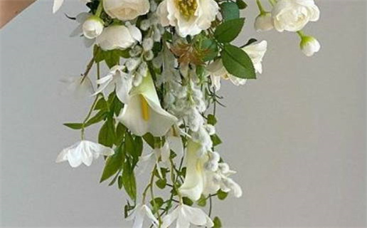 八字算命买车指南如何选择适合你的车辆