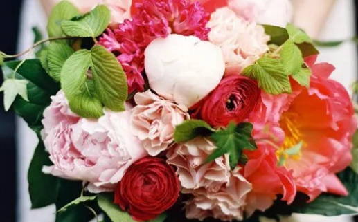 猪年犯太岁的生肖(猪年犯太岁的生肖有哪些)