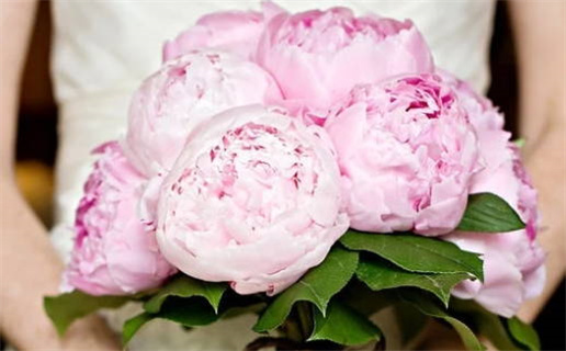 怎样八字算命(怎样八字算命最准)