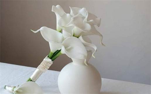 测八字算命软件助你洞悉命运与人生轨迹