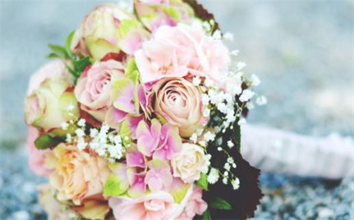 与生肖鼠属相相配(与生肖鼠属相相配好吗)