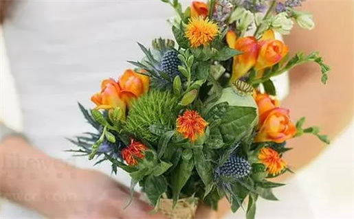 本月提车黄道吉日查询(本月提车黄道吉日查询老黄历)