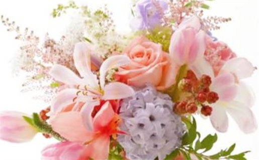 以其一生苦包命是什么生肖(以其一生苦包命是什么意思)