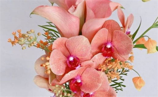 地火明夷探秘：解析阴阳调和与命理的深层次影响