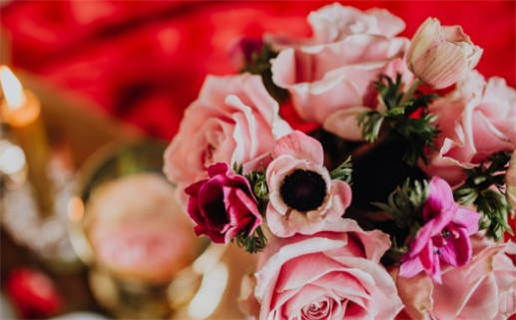 1958年生年的属狗人命运分析(1958年出生的属狗怎么样)