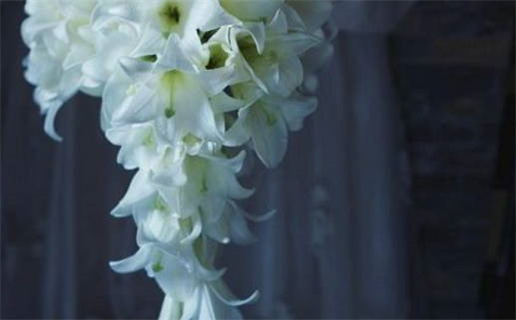 最好的生辰八字算命_最好的生辰八字算命方法