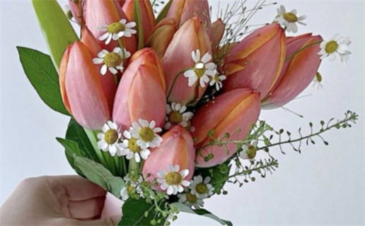 1977年属什么命_1977年属什么命 五行属什么