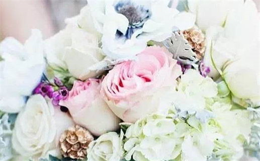 2017年是什么命年(2017是什么命年?五行属什么?)