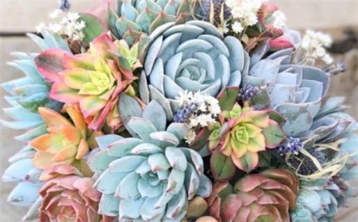 月老灵签姻缘签,抽签解签,周易占卜(月老灵签姻缘签在线抽签解签)