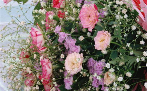 佛教八字算命揭秘命运与智慧的结合