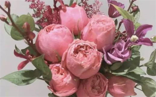 1933年09月30日出生的人的性格命运_1933年9月30日阴历