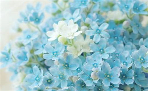 百度算命生辰八字免费精准在线解析