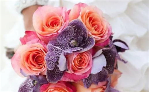 什么命的人不适合拜佛(什么命不能去寺庙)