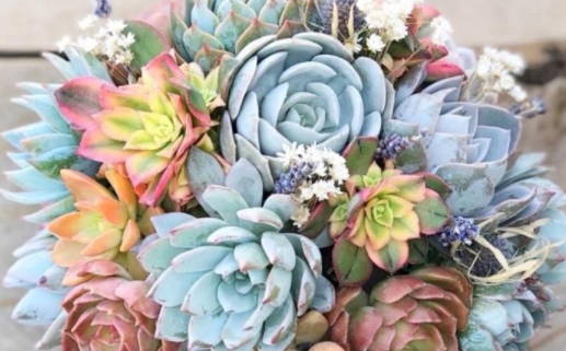 生辰八字算命先生_生辰八字算命先生下载app