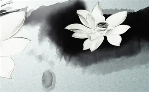 六九年出生的鸡命运解析与运势分析