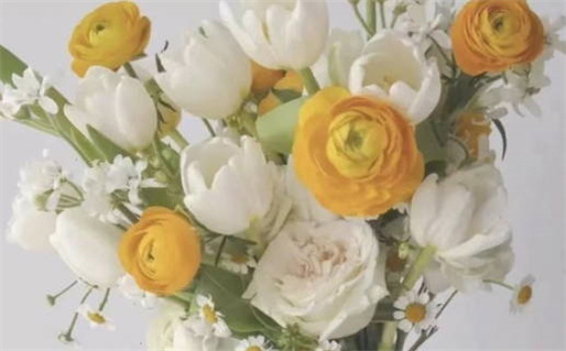 生辰八字算命书籍(生辰八字算命书籍正版)