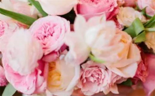 8月开业黄道吉日查询_8月开业黄道吉日查询2025年