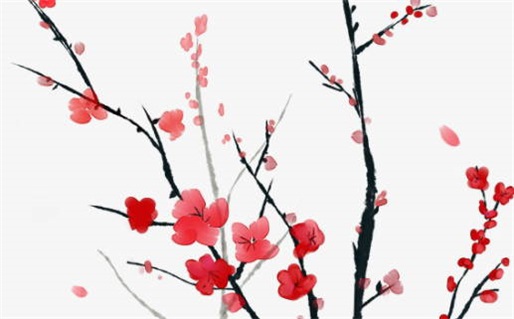 今天2028年09月26日动土老黄历不适宜吗,农历二〇二八年八月初八动土日子