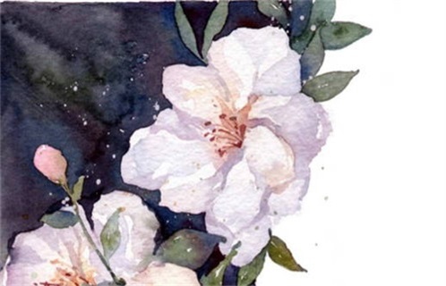 今日2031年11月11日兴工老黄历适宜吗,农历二〇三一年九月廿七动土日子