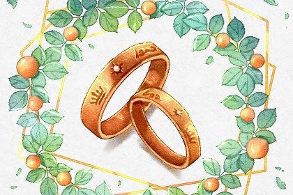 2026年11月23日不适宜办婚礼吗,结婚吉日查询