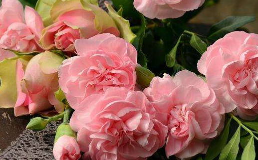 农历二〇三四年十月十二黄历迎亲不适宜吗,这天结婚合适吗