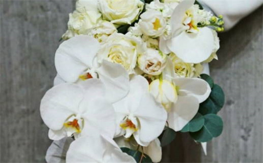 农历二〇三一年三月廿二黄历不适宜婚嫁吗,结婚好日子有哪些