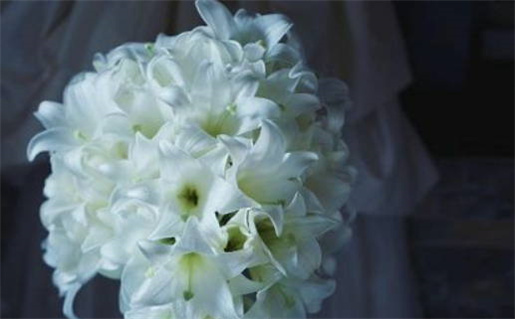 今日农历二〇二九年六月廿五黄历登记结婚不适合吗,领证吉日