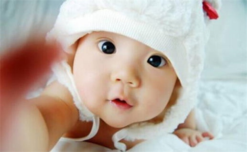 张姓男孩子取名