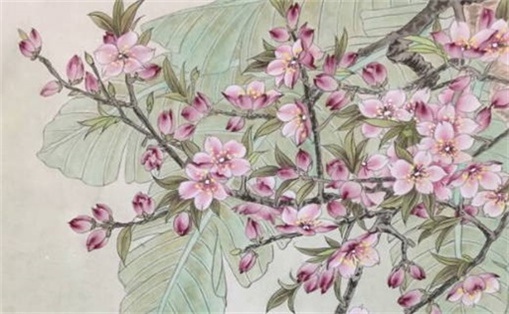 《462个阳光活泼的男宝宝名字推荐：胡姓男孩的最佳选择》