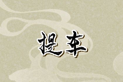 2047年06月13日提车指南：宜忌分析与最佳操作建议