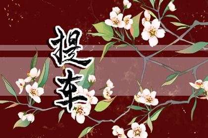 2030年06月02日提车黄历查询