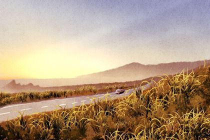 2028年12月25日提车指南：适宜与忌讳详情分析